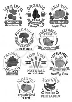 Vegetables vector premium icons set for farm organic store or veggie market. Harvest beet and eggplant or bell pepper, cucumber and broccoli. Vegan carrot, cabbage or tomato and green peas