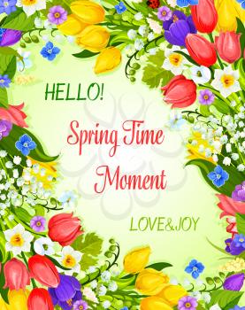 Hello Spring vector greeting card with springtime flowers bunch. Hello Spring Time and Love design of blooming March tulips, crocuses or April snowdrops blossoms and daffodils bouquets