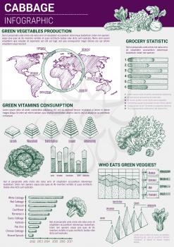Cabbage vegetables vector sketch infographic. Graph and diagram elements for production, veggie vitamins consumption and wold map vegetarian consumer market analysis and information statistics chart