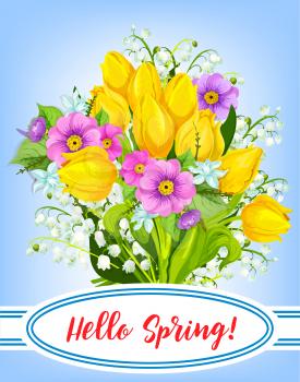 Hello Spring vector poster with floral bouquet of blooming springtime flowers of tulips, crocuses or daffodils, lily blossoms and narcissus. Spring greeting card quote template on green grass meadow