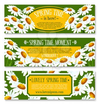 Spring banner with floral background. Spring green field of blooming daisy flowers with text layout for your greeting wishes. Springtime holidays poster, greeting card design