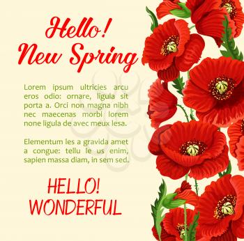 Hello Spring greeting card or poster template with blooming bunch of red poppy blossoms and spring time floral petals. Vector flourish design of springtime nature flowers in bloom