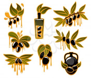 Olive oil and olives vector isolated icons set. Dripping drops of oil from black and green olive branches. Design for extra virgin oil product package or Italian and Mediterranean cuisine
