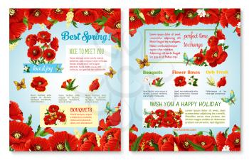 Spring flowers posters with blooming springtime design and vector holiday greeting. Flourish spring grass fields of red poppy blossoms, daisy or orchid blossoms and floral bunches with butterflies