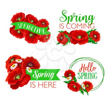 Spring time quotes and greetings on isolated floral bouquets. Vector springtime wishes on ribbons with flowers of blooming poppy blossoms and garden daisy bunches for Hello Spring design set