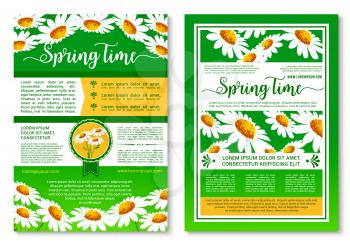 Springtime holidays celebration poster template. Spring flowers banner with text layout, adorned by blooming daisy and chamomile flowers. Spring floral brochure, greeting card design