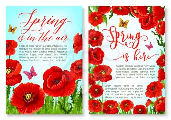 Hello Spring greeting card with flower frame border. Floral wreath of red poppy flowers, green leaf and grass with flying butterfly for springtime holidays poster or invitation flyer design