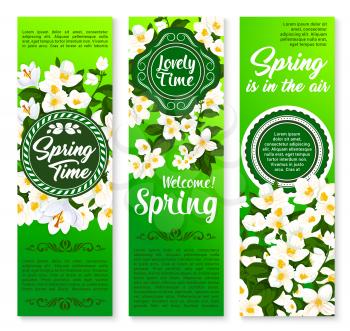 Spring holidays floral banner set. Springtime and hello spring stamp badges, decorated by blooming branches of jasmine with crocus flowers and green leaves for spring season invitation or flyer design