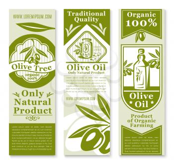 Olive oil and fruit banner template. Green branches of olive tree with fruit and leaf, bottle of oil and table olives jar symbols with ribbon and star for organic farm products packaging label design