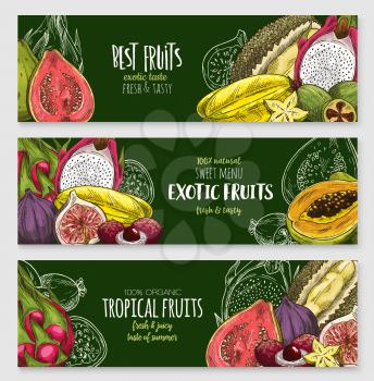 Exotic tropical fruit blackboard banner set. Fresh papaya, carambola, feijoa, passion fruit, durian, dragon fruit, lychee, fig and guava chalk sketches for fruity dessert and juice menu design