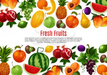 Fresh fruits vector poster. Farm harvest of watermelon and peach, apricot or apple and grape, pomegranate and tropical papaya or mango, red currant or pineapple, orange grapefruit and avocado with kiw