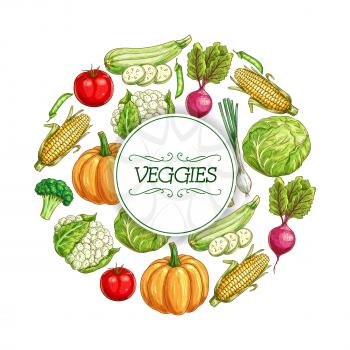 Vegetable sketch poster. Fresh tomato, cabbage, green onion, broccoli, zucchini, corn, pumpkin, fresh pea, beet and cauliflower veggies frame with copy space in center for farm market label design