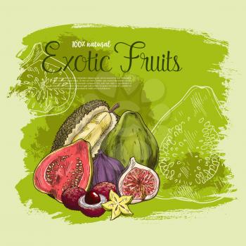 Exotic fruits vector poster of tropical durian, guava or figs and lichee or carambola star fruit and fresh mangosteen or maracuya passion fruit for natural organic farm market or store design