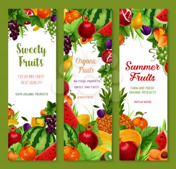 Fruits vector banners set of farm fresh watermelon, sweet peach or apple and apricot, tropical pineapple and banana, juicy pomegranate and summer garden plum with grapes and melon or orange
