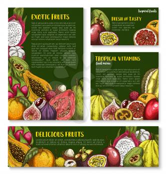 Exotic fruits vector posters and banners templates. Tropical carambola and passionfruit, guava or avocado and figs, mango or papaya and orange grapefruit harvest of juicy dragon fruit, feijoa and mang