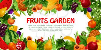 Fruit and berry frame poster. Apple, pear, banana, pineapple, peach, grape, plum, watermelon, lemon, kiwi, melon and pomegranate fruit, leaf and grapevine with copy space in center. Food, drink design