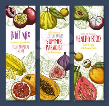 Exotic and tropical fruits banners set. Vector mix or natural avocado, guava and carambola, fresh organic mangosteen or passionfruit, mango or figs and juicy dragon fruit, feijoa and orange