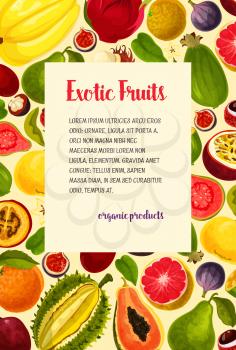Exotic fruits poster of tropical avocado, guava and carambola, fresh organic mangosteen or passionfruit, mango or figs. Vector harvest of natural and juicy dragon fruit, tropical feijoa and orange