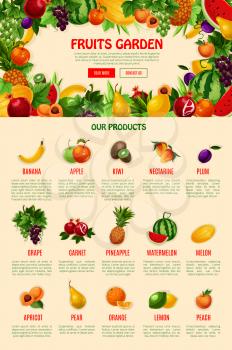 Garden fruits web site or landing page template. Vector design of farm harvest of exotic banana, kiwi or apple and nectarine, fresh juicy plum, grape or garnet and watermelon, avocado and apricot