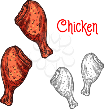 Chicken leg isolated sketch of poultry meat. Fried chicken leg or grilled turkey thigh with crispy crust, seasoned with pepper and herbs for barbeque and grill bar menu, fast food packaging design