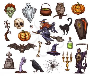 Halloween holiday sketch icon set. Scary ghost, Halloween pumpkin lantern, bat, spider and witch, skeleton skull, zombie and cemetery gravestone, black cat, coffin and grim reaper isolated symbol