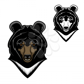 Bear animal head vector cartoon of Himalayan bear mascot design. Wild predatory mammal with white chest, long snout and teeth, mountain forest wildlife