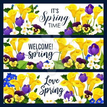 Happy Spring floral banners of calla lily and orchid or crocus flowers. Its spring time quotes and wishes for seasonal springtime holiday of blooming daisy and tulips or violets bunches