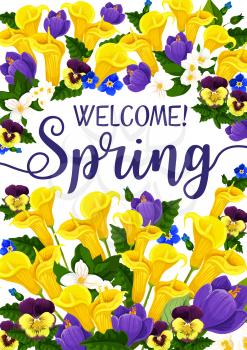 Spring Season welcome banner with springtime blooming flower. Crocus, calla lily, garden pansy and jasmine flower bunch with floral bud, green leaf and branch for Spring Holiday greeting card design