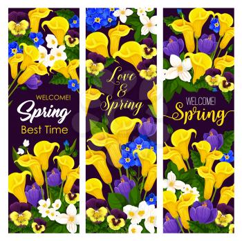 Springtime lovely time and Welcome Spring floral banners. Vector design of spring yellow calla lily and white snowdrops bouquet, orchids or blue crocuses and blooming daisy blossoms