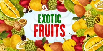 Exotic fruits vector banner with tropical berries frame border. Durian, quince and pomelo, sweetsop, ackee and salak, morinda, kumquat and chambakka, natural vitamin juice and vegetarian food design
