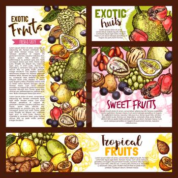 Exotic tropical fruits sketch, farm market. Vector tasty salak, jujube, sapodilla and ackee apple, ambarella or tamarind and jabuticaba, pepino fruit and jackfruit, kumquat