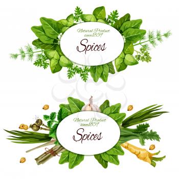 Spices, herbs and organic seasonings. Vector farm market sorrel, dill or parsley and leek, natural radish and poppy seeds, spinach or peppermint with garlic
