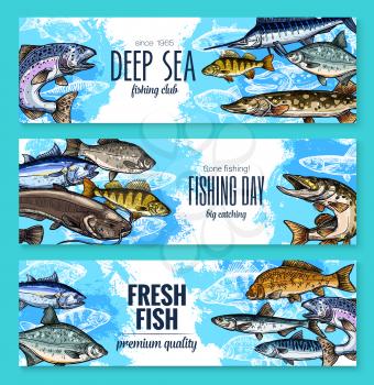 Sealife banners of deep sea or ocean fishes for fishing trip. Vector set of fresh trout, salmon or mackerel and marlin, flounder or tuna and herring sprats with sheatfish for fish market