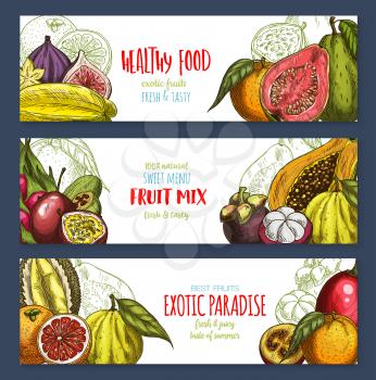 Exotic fruits banners templates of tropic fruit harvest for farm market or shop. Vector design of tropical juicy lychee, carambola or papaya and passion fruit maracuya or durian and grapefruit