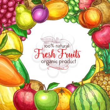 Fruit frame sketch poster. Fresh organic apple, orange, pear, melon, mango, peach, banana, grape, pineapple, plum, kiwi, melon and pomegranate fruit for natural juice label or vegan menu border design