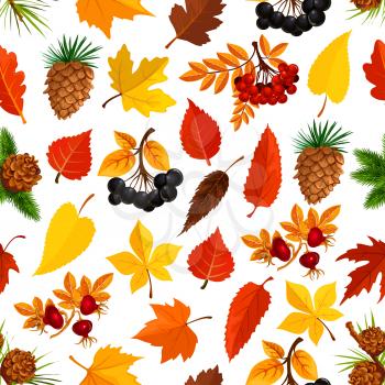 Autumn seamless pattern of fall season nature background. Yellow maple leaf, orange foliage of forest tree, rowanberry and briar berry branch, pine and fir cone pattern for autumn season design