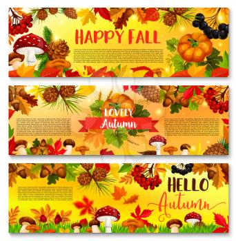 Hello Autumn or Happy Fall banners of pumpkin, forest mushroom nature harvest and maple leaf with rowan berry and falling leaves, acorns and oak orange foliage. Vector autumn season design set