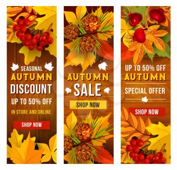 Autumn sale banner set of fall season discount price offer. Autumn fallen leaves frame on wooden background with yellow and orange foliage of maple and chestnut, briar and rowanberry branch, pine cone