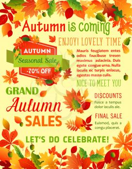 Autumn Sale and Fall is coming poster template for seasonal holiday sale or shopping 70 percent off discount promo. Vector design of falling leaves of maple, oak acorns or rowan and birch