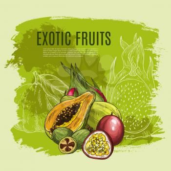 Exotic papaya fruit sketch poster with tropical dragon fruit, feijoa and passion fruit with fresh green leaf and cross section on grunge background. Fruity dessert, juice or cocktail menu cover design