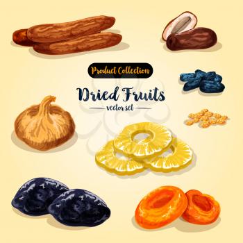 Dried fruit and candied berry. Raisins, apricot, date, prune, fig, pineapple and banana for healthy vegetarian snack food, natural sun dried sweets label design