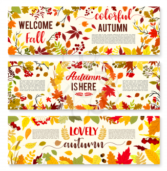 Welcome autumn banner set with fall leaf wreath. Autumn nature season leaves, yellow and orange foliage of forest tree, acorn and rowan berry arranged into frame for fall season holiday design
