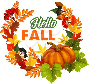 Autumn seasonal greeting card of Hello Fall quote and pumpkin or rowan berry harvest on foliage wreath. Vector poplar, aspen or birch and chestnut autumn leaf, oak acorn for fall holiday design