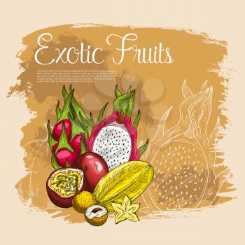 Exotic fruits vector poster of tropical papaya or mango, passionfruit maracuya and carambola starfruit, durian or figs, juicy guava or avocado and feijoa, lichee and mangosteen. Sketch design