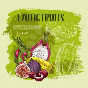Exotic fruit grunge poster. Fresh tropical carambola, durian, dragon fruit, lychee and fig sketches for juice and cocktail menu, tropical fruity dessert or food packaging design