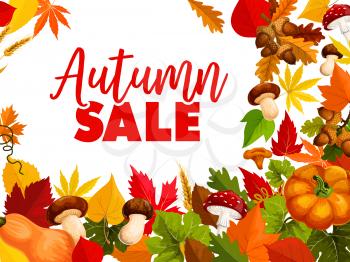 Autumn sale, fall season discount offer poster. September leaf, autumn harvest pumpkin vegetable, orange foliage of maple and chestnut, amanita and cep mushroom, acorn and wheat for retail design