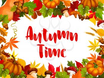 Autumn time poster of fall nature template. Autumn maple leaf, fall harvest season pumpkin vegetable, acorn, chanterelle, amanita, cep mushroom, wheat and forest tree foliage for greeting card design