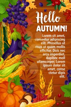 Hello Autumn greeting poster or card of seasonal fall harvest. Vector pumpkin, fruit or berry and mushroom in autumn foliage of maple or poplar and chestnut leaf, oak acorn on wooden background