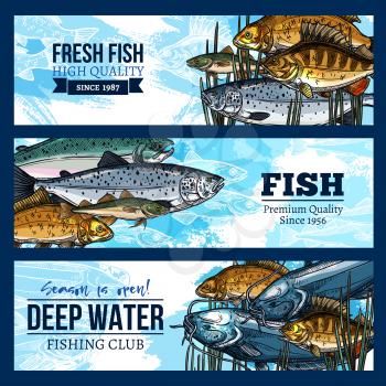 Fishing club banner set of fresh fish catch. Vector design of fisherman big seafood and fish food herring, mackerel or sprat and tuna, salmon or flounder and sheatfish or trout in water