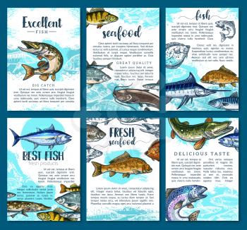 Fish posters set for seafood or fish food market. Vector brochure template design of sea fishing or fisherman big catch of tuna, eel or flounder and salmon, pike or mackerel and herring or carp